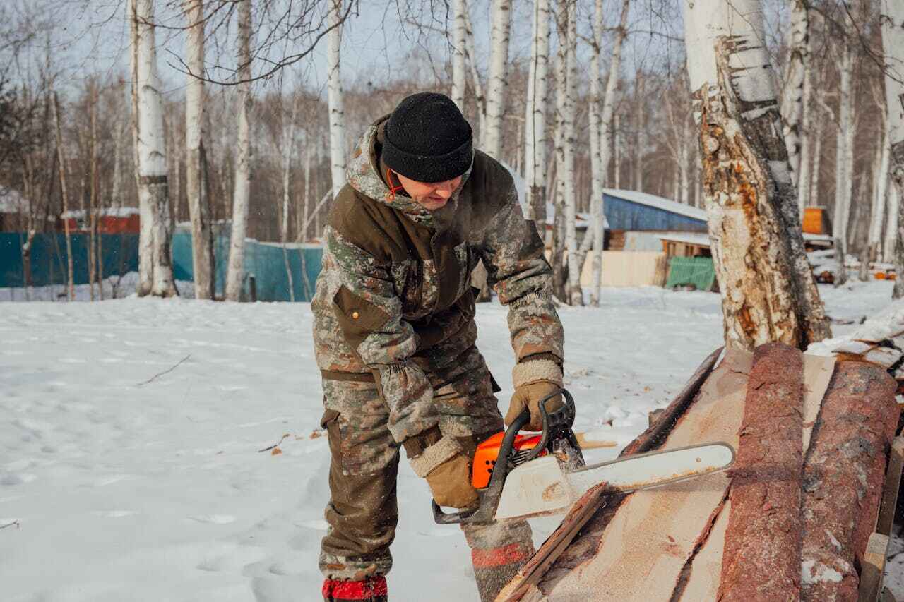 The Steps Involved in Our Tree Care Process in Jackson, GA